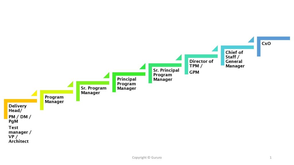 career progression of program manager