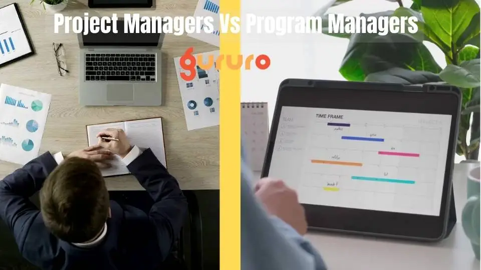 Program Managers vs. Project Managers image