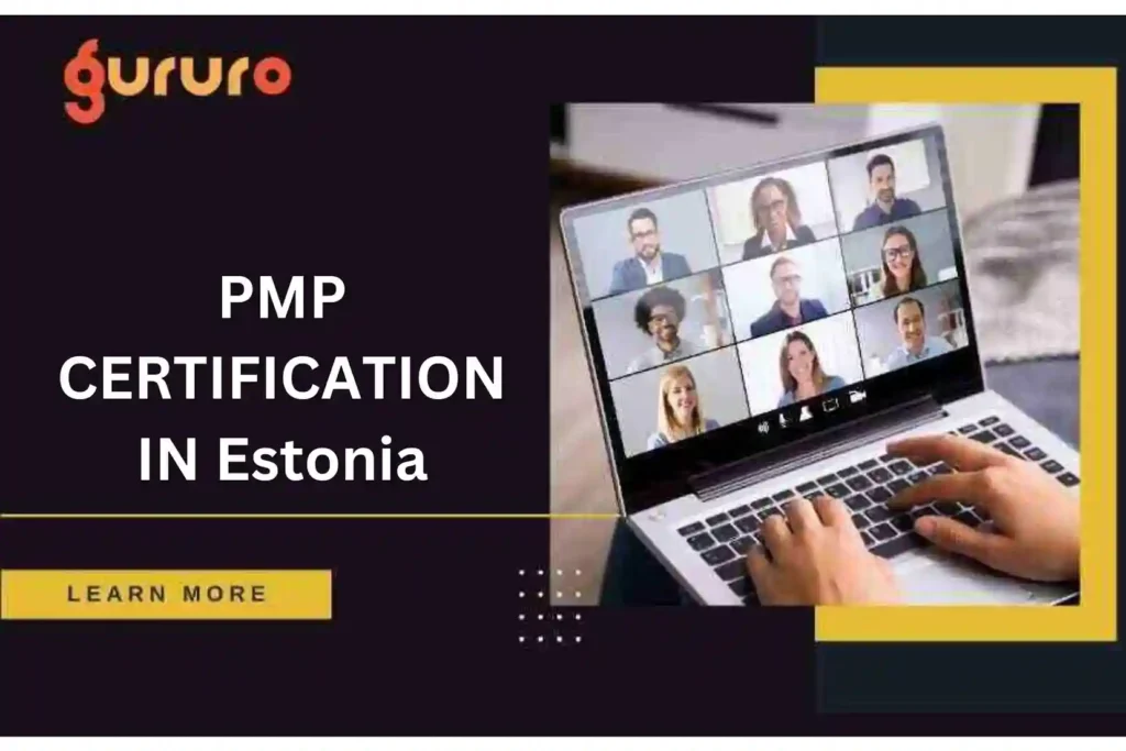 PMP Certification in Estonia image