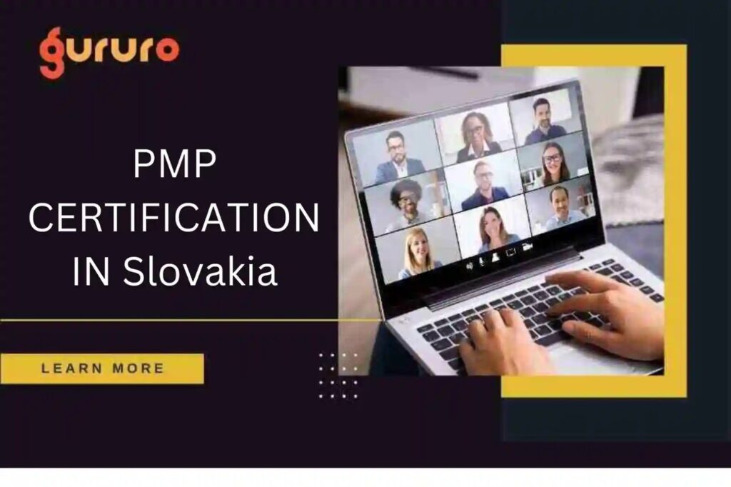 PMP Certification in Slovakia image