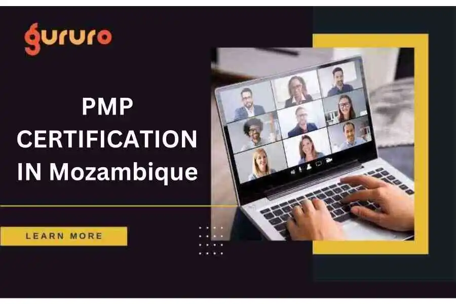 PMP Certification in Mozambique image