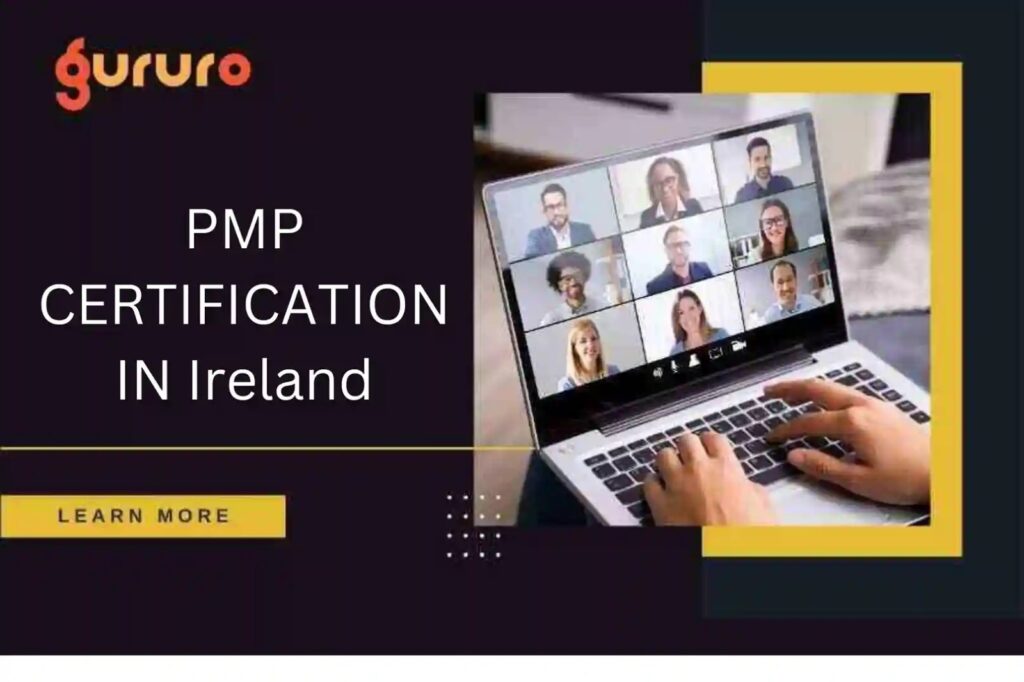 PMP Certification in Ireland image